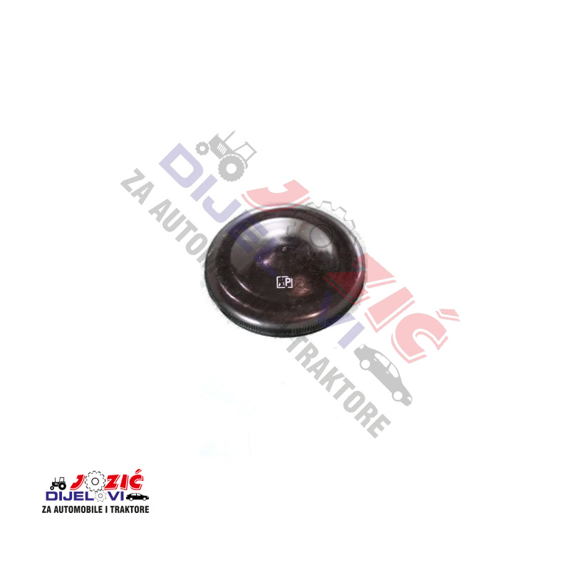 Daisy on the Ohoopee